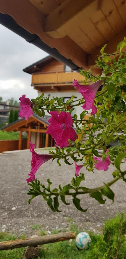 Villa Swiss Săcele Extérieur photo